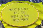 What doesn't kill you…