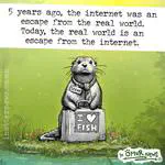 Five Years on the Internet is a Lifetime